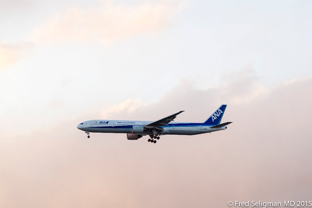 20150311_173432 D3S.jpg - Plane landing at Haneda